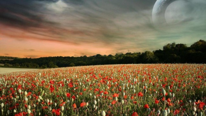 LABUBU为啥这么火?